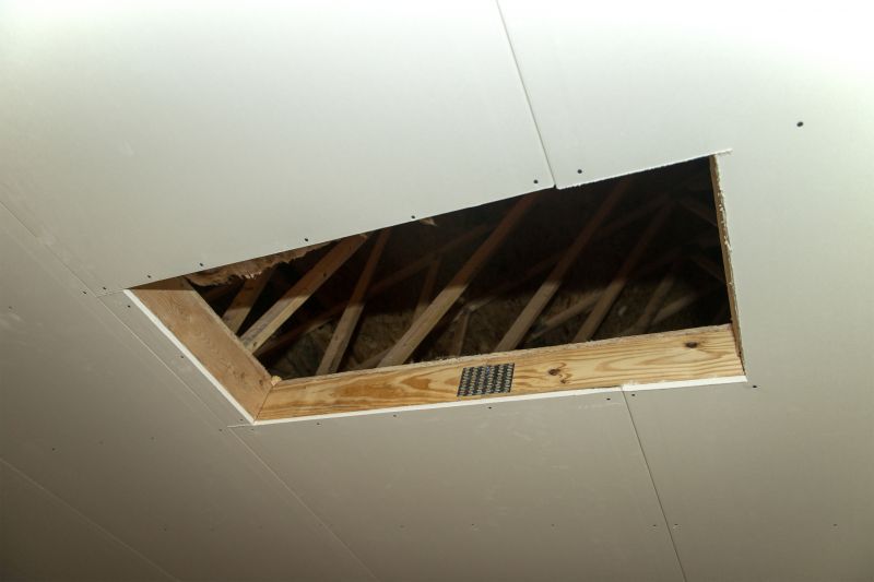 Attic Expansion detail